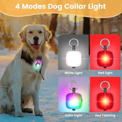Dog Collar Light 2 Packs 4 Modes IP68 Waterproof