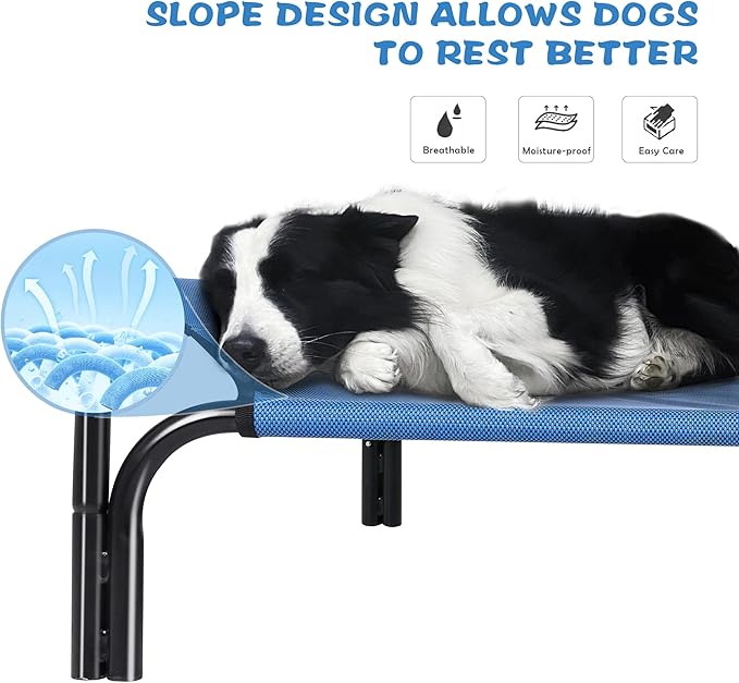 Cooling Elevated Dog Bed