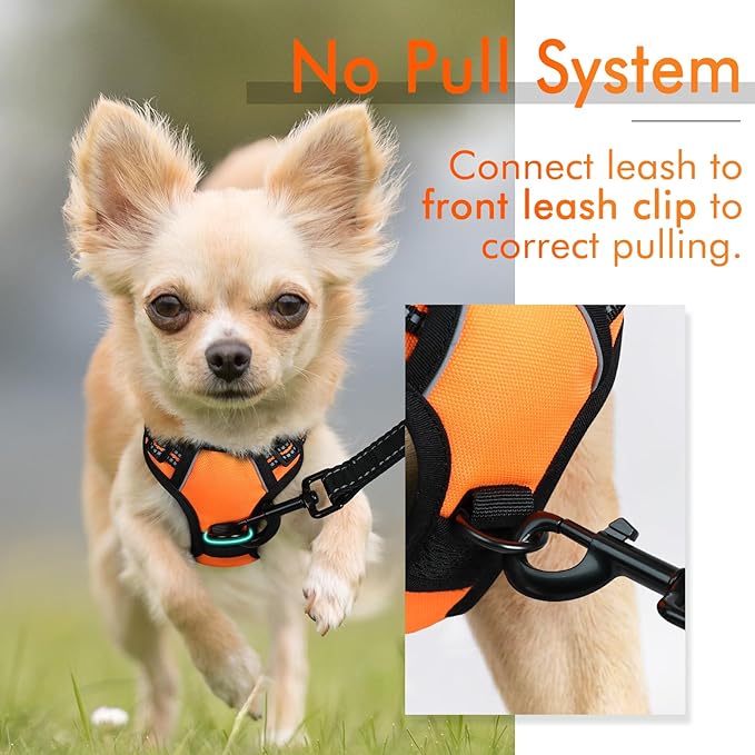 rabbitgoo Dog Harness, No-Pull Pet Harness with 2 Leash Clips, Adjustable Soft Padded Dog Vest, Reflective No-Choke Pet Oxford Vest with Easy Control Handle for Small Dogs, Orange,XS