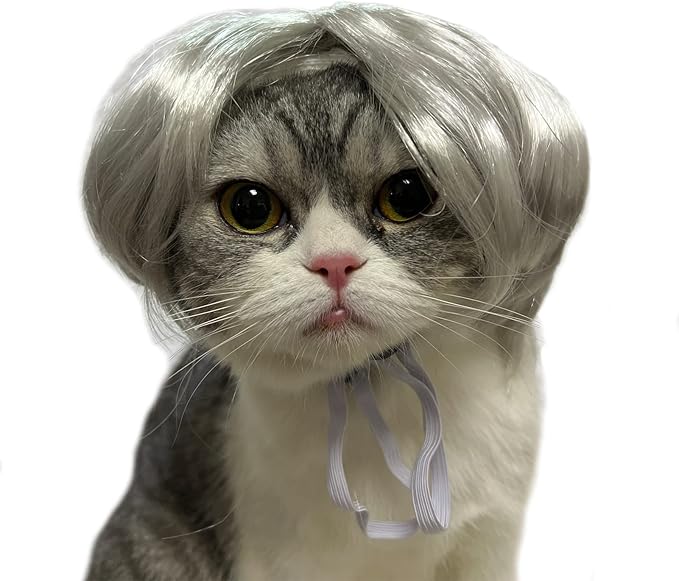 Funny Dog Cat Cosplay Wig, Headwear Apparel Toy, Cat Dress up for Halloween, Christmas, Parties, Festivals, Wigs for Small Medium Dogs and Cats