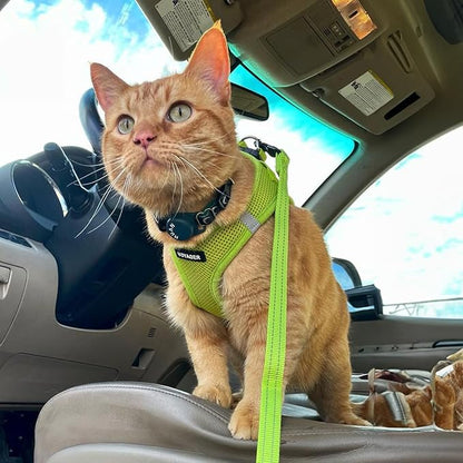 Voyager Step-in Air Cat Harness - All Weather Mesh Step in Vest Harness for Small and Medium Cats by Best Pet Supplies - Harness (Lime Green), XXXS (Chest: 9.5-10.5")