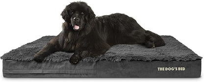 The Dog’s Bed Orthopedic Memory Foam Jumbo Dog Bed 64x44, Pain