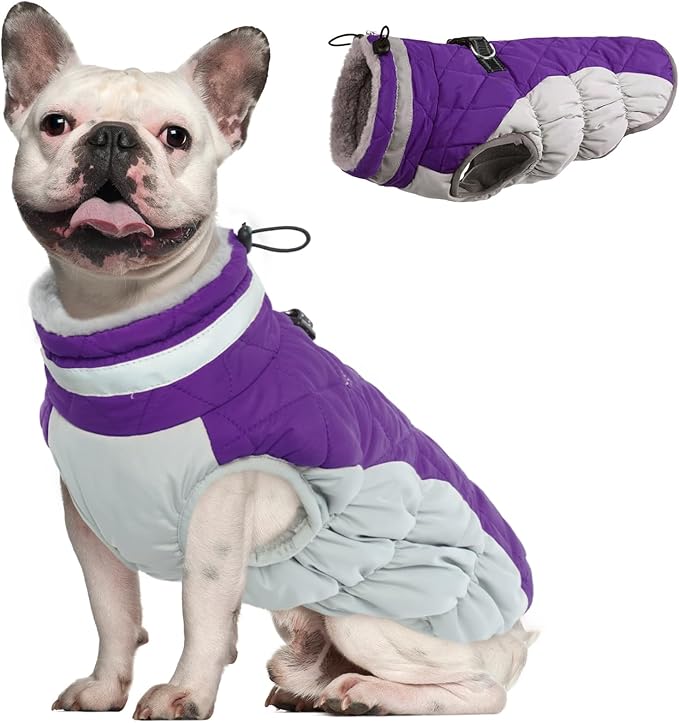 Dog Coat
