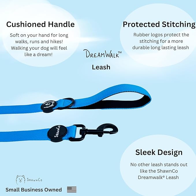 ShawnCo Dream Walk Dog Leash- Premium, Nylon Pet Leash with Soft Neoprene Handle for Small, Medium and Large Dogs (Seafoam, Small)