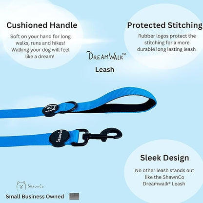 ShawnCo Dream Walk Dog Leash- Premium, Nylon Pet Leash with Soft Neoprene Handle for Small, Medium and Large Dogs (Seafoam, Small)