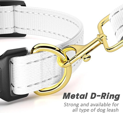 Reflective Dog Collar