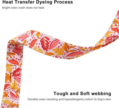 Lionet Paws Dogs Collar Fall 13.5-22 inches