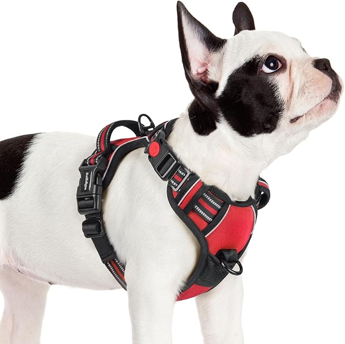 rabbitgoo Dog Harness Small Sized, No Pull Pet Harness with 3 Buckles, Adjustable Soft Padded Dog Vest with Instant Control Handle, Easy Walking Reflective Pet Vest for Small Dogs, Red, S