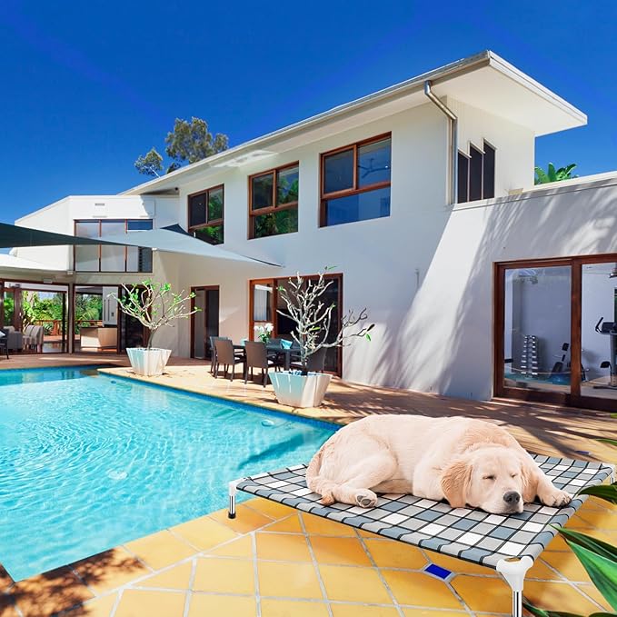 Elevated Dog Bed Raised Dog Bed