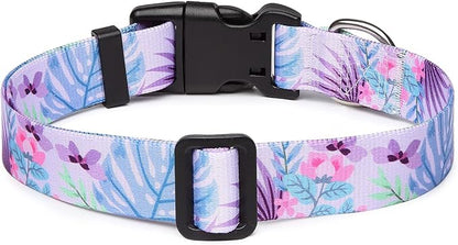 Adjustable Dog Collar with Patterns