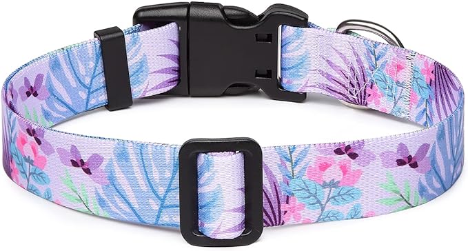 Adjustable Dog Collar with Patterns
