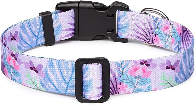 Adjustable Dog Collar with Patterns