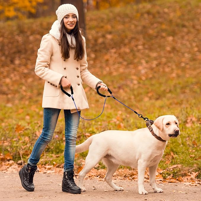 6 Feet Heavy Duty Dog Leash Super Strong Special Stainless Steel Alloy Metal Wire