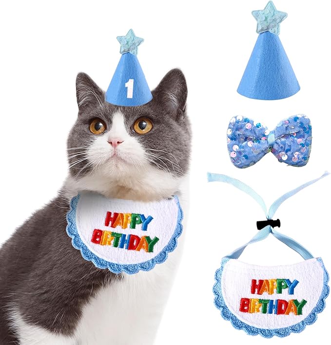 Dog Cat Birthday Party Supplies Outfit Bandana Bib