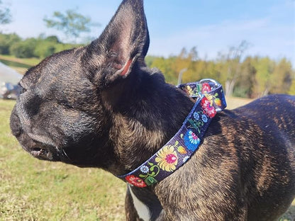 Martingale Dog Collars - Flower Multicolor Cute Patterns, Adjustable Nylon Training Dog Collar Suitable for Boy and Girl Dogs Medium Large Dogs (XL, Black)