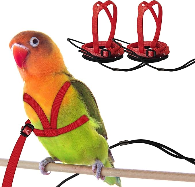 2 pcs Pet Parrot Bird Harness and Leash, Adjustable Training Design Anti-Bite, Outdoor Flying Training Rope Kit for Bird Parrots Fits Birds Chest Between24-51cm /9.45-20inch - M (red