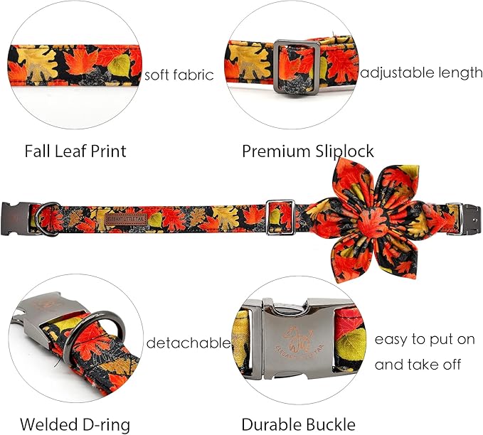 Elegant little tail Dog Collar with Flower