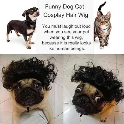 Funny Dog Wig Pet Costumes, Cat Costume Synthetic Hairpiece Cosplay Wigs, Headwear for Halloween Christmas Festivals Party Decor, Fancy Dress,Average Size for Most Dog Cat,Black Curly