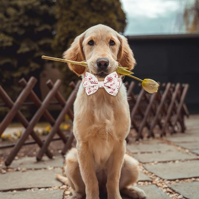 Adjustable Pet Bow Tie and Dog Collar for Small Medium Large Dogs, Puppy Collar with Bowtie, Cute Bow and Dog Collars - Comfortable, Soft, and Durable (Small, Rose Print)