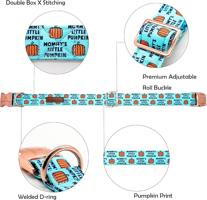 Lionheart glory Dog Collars Fall Halloween Pumpkin Collar