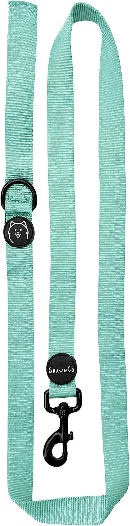 ShawnCo Dream Walk Dog Leash- Premium, Nylon Pet Leash with Soft Neoprene Handle for Small, Medium and Large Dogs (Seafoam, Small)