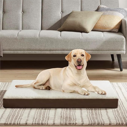 Friends Forever Orthopedic Dog Bed 36x27x3