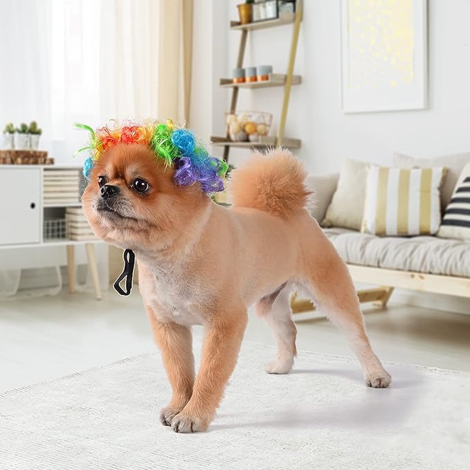 Funny Dog Cat Cosplay Wig, Headwear Apparel Toy, Pet Costumes, Cat Dress up for Halloween, Christmas, Parties, Festivals, Dog Wigs for Small Medium and Large Dogs (Colorful Clown Hair)