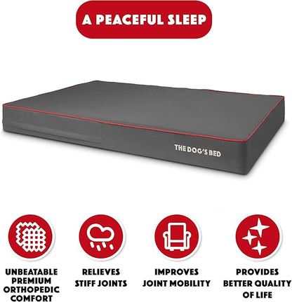 The Dog’s Bed Orthopedic Memory Foam Dog Bed 54x36, Pain