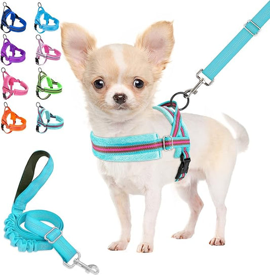 Lukovee Dog Harness and Leash Set, Soft Padded Small Dog Harness, Neck & Chest Adjustable Reflective Vest Puppy Harness with 4ft Lightweight Anti-Twist Dog Leash for Small Dogs (Meduim,Light Blue)