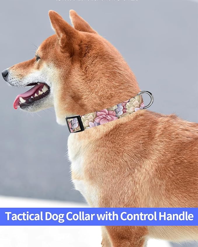 Dog Collar