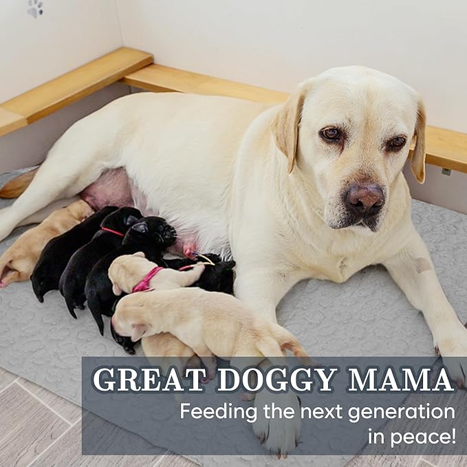 Stuffed Waterproof Dog Bed Cover Pet Blanket 52"X82", Grey