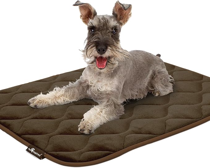 Paw Inspired Washable Padded Crate Mats for Dogs 35” x 22” Pad, 36-inch Kennels