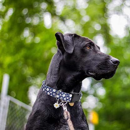 Flower Patterns Dog Collar with Accessories