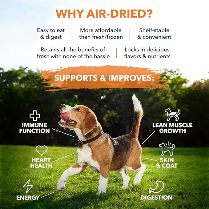 100% Human Grade Air Dried Dog Food - All Natural - USA Grass Fed Beef - Limited Ingredient Dog Food - Grain Free - Dehydrated - Complete Meal or Dog Food Topper – Beef Flavor - Sample Bag