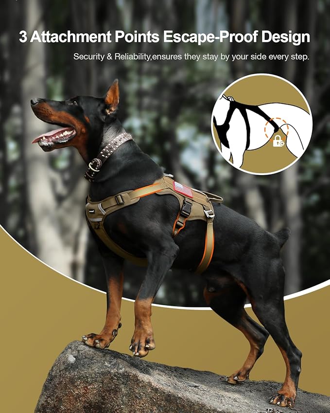 FAYOGOO Tactical Dog Harness for Medium Dog - Mesh Breathable Dog Harness Escape Proof with Handle - No Pull Military Service Dog Vest with Removable Patches for Walking,Training,Hiking