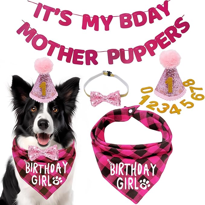 Birthday Plaid Dog Bandana with Button