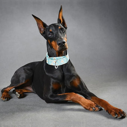 Martingale Collar 1.5 Inches Wide Dog Collar