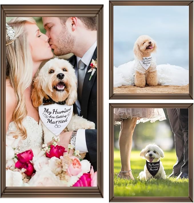 SZEE Wedding Dog Bandanas, My Humans are Getting Married Dog Bandanas for Dogs, Dog Engagement Wedding Party, Pet Wedding Photo Prop Bandana for Engagement, Gifts for Couples (White & Black, Small)