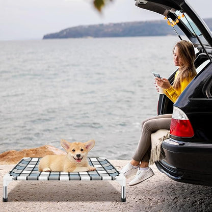Elevated Dog Bed Raised Dog Bed
