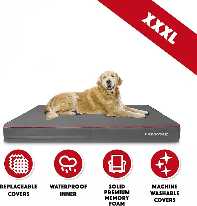 The Dog’s Bed Orthopedic Memory Foam Dog Bed 64x44, Pain