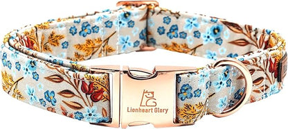 Lionheart glory Premium Dog Collars Fall Dog Collar