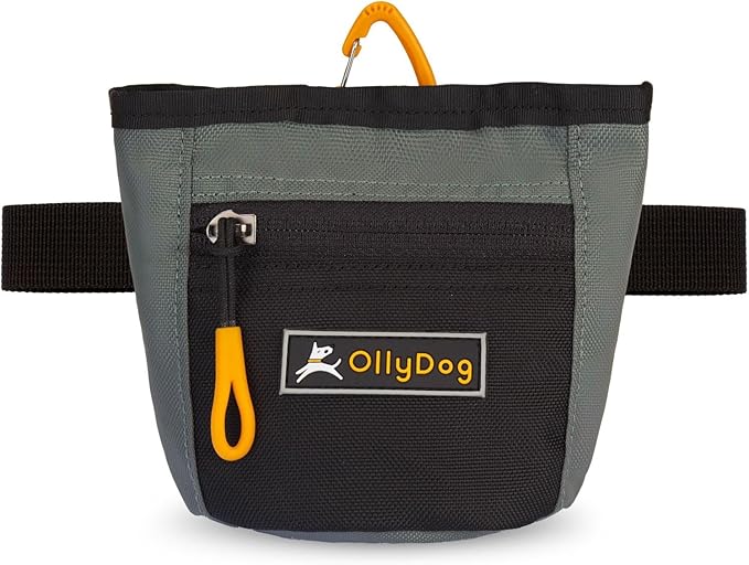 OllyDog Goodie Treat Bag, Dog Treat Pouch, Waist Belt Clip for Hands-Free Training, Magnetic Closure, Dog Training and Behavior Aids, Three Ways to Wear (Juniper)