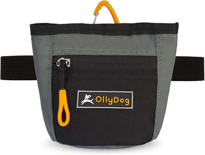 OllyDog Goodie Treat Bag, Dog Treat Pouch, Waist Belt Clip for Hands-Free Training, Magnetic Closure, Dog Training and Behavior Aids, Three Ways to Wear (Juniper)