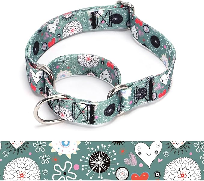 Martingale Dog Collars (14, M)