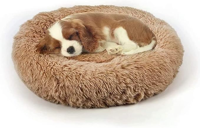 Dog Bed