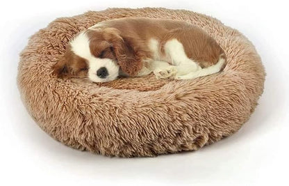 Dog Bed