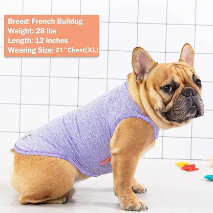 KYEESE 2 Pack Dog Shirts Quick Dry Soft Stretchy Dog T-Shirts with Reflective Label Tank Top Sun Protection Sleeveless Vest Dog Clothes for Small Medium Dogs