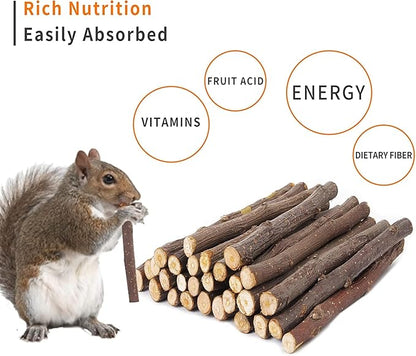 600g Apple Sticks Molar Treats Snacks(150 Pcs)