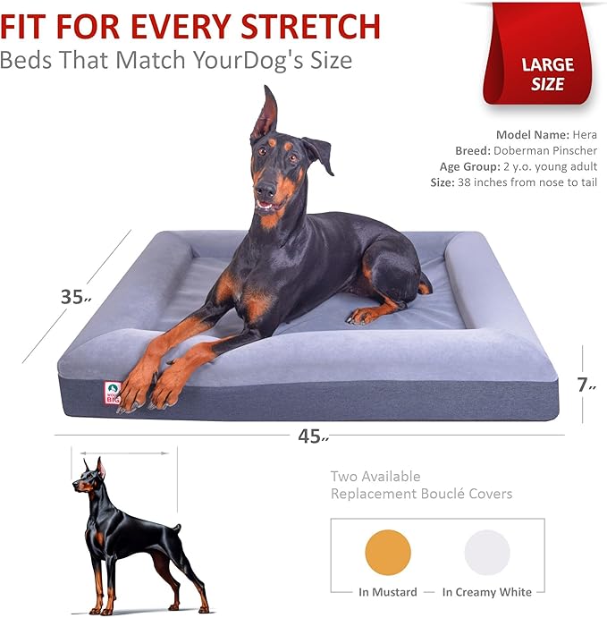 Premium Waterproof Orthopedic Large Dog Bed Washable Cover Made Out of Velvet 45" x 35" x 7"