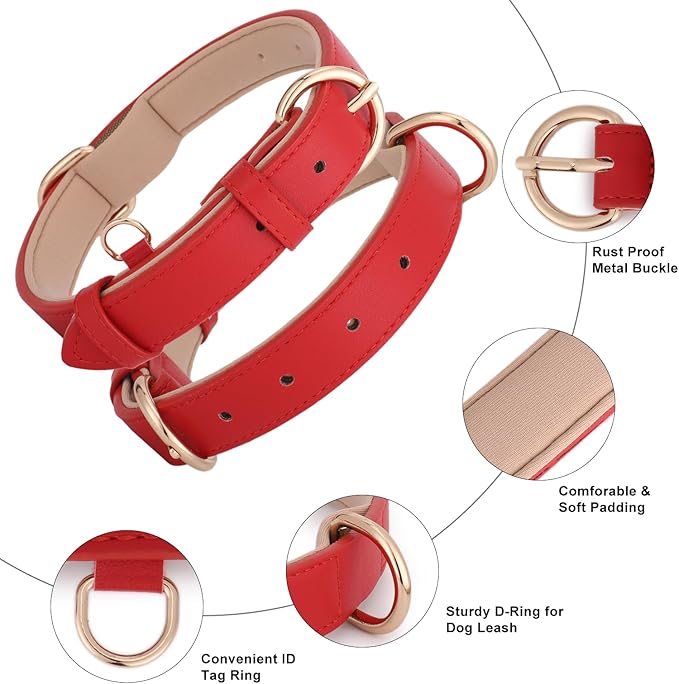 WHIPPY Soft Padded Leather Dog Collar for Small Medium Large Dogs Heavy Duty Dog Collar with Adjustable Rust-Proof Metal Hardware